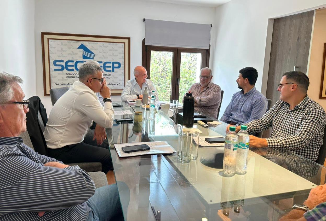 CHACO, CORRIENTES Y FORMOSA PEDIR&Aacute;N A NACI&Oacute;N EXTENDER EL SUBSIDIO EL&Eacute;CTRICO HASTA MARZO