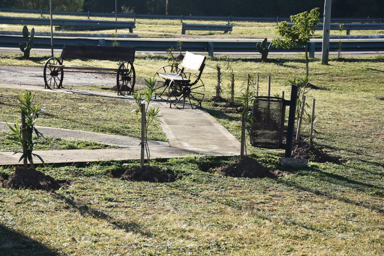 KOSCIAK DESTAC&Oacute; LA PLANTACI&Oacute;N DE 400 LAURELES EN EL ACCESO NORTE Y EL AVANCE DEL PLAN DE FORESTACI&Oacute;N EN VILLA &Aacute;NGELA 